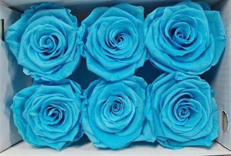 <h4>Ro Pres Classic Cyan</h4>