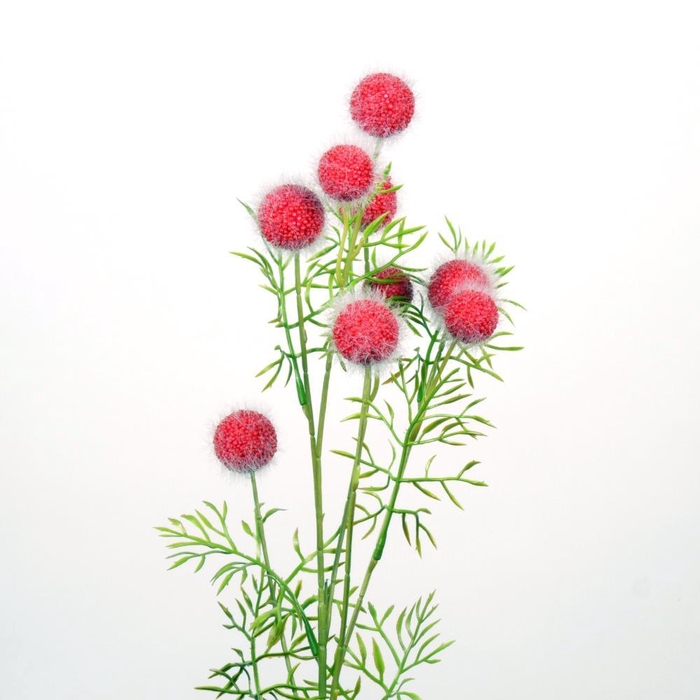 <h4>AF Platanus spray L82cm red</h4>