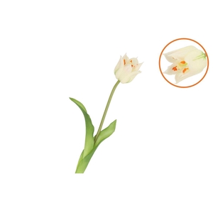 Silk Tulip Single White 48cm Nm