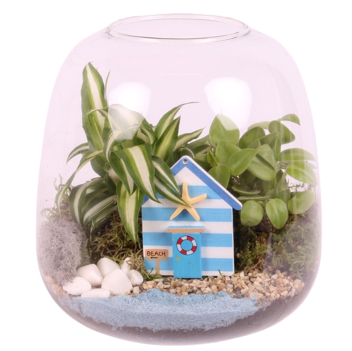<h4>Opm Maritime Arr. Indoor Glass Vase Terrarium Roun</h4>
