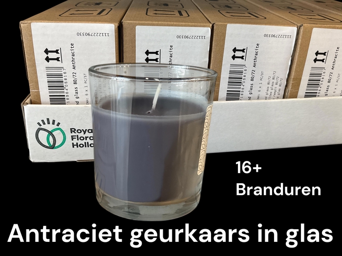 <h4>GLAZEN VAZEN H%</h4>