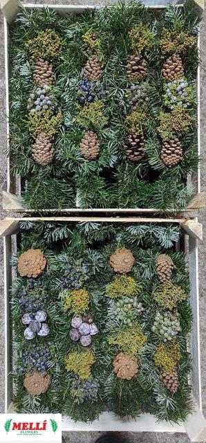 <h4>KRANS ADVENT  H%</h4>