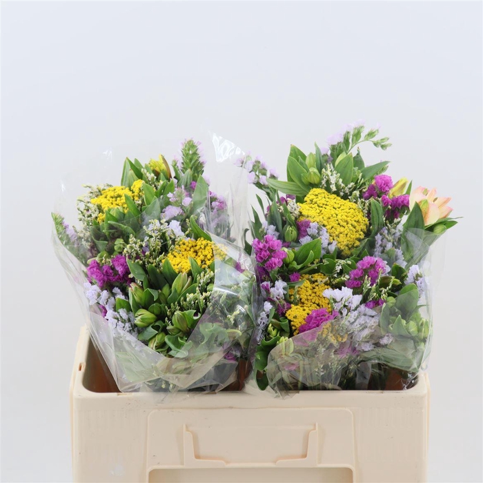 <h4>Gemengd Boeket Zomerboeket Overig</h4>