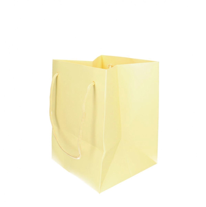 <h4>Bags Olympic 25*18*18cm CREAM</h4>