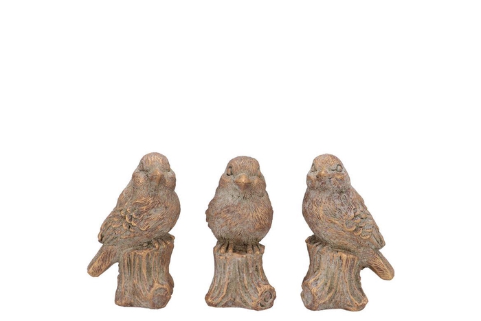 <h4>Concrete Golden Bird Ass 10x9x15cm</h4>