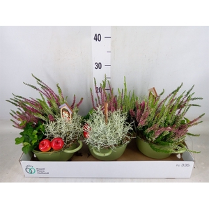 Arr.   Tuinplanten L%