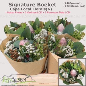 PROTEA PER BOS