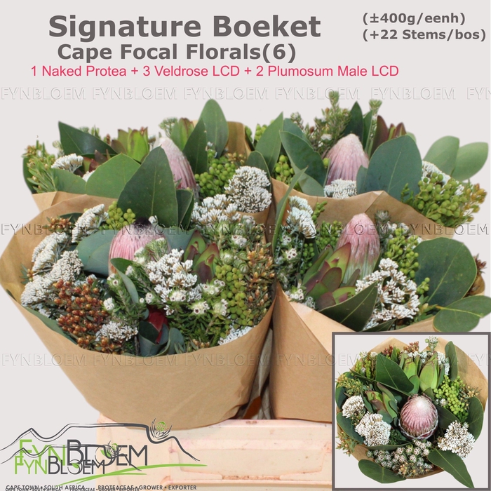 <h4>PROTEA PER BOS</h4>