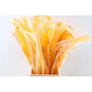 Feather Ostrich Feathers 55cm 5 Pcs Yellow