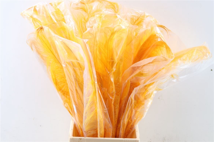 Feather Ostrich Feathers 55cm 5 Pcs Yellow