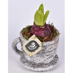 Cemt kop met schotel 9/12 cm