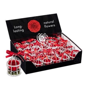Display Birdie Red02
