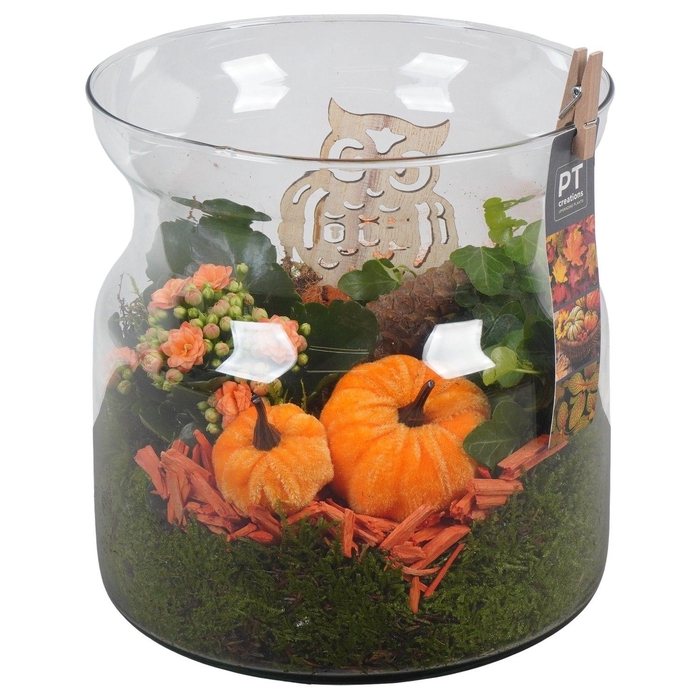 <h4>Arr.   Planten L%</h4>