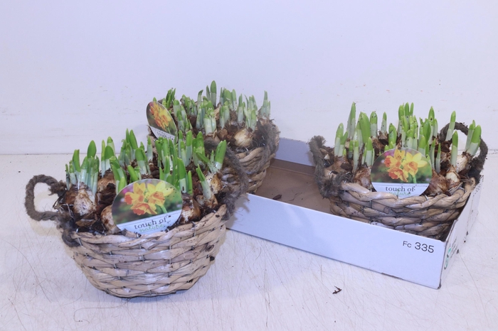 <h4>ARR N TETE A TETE</h4>