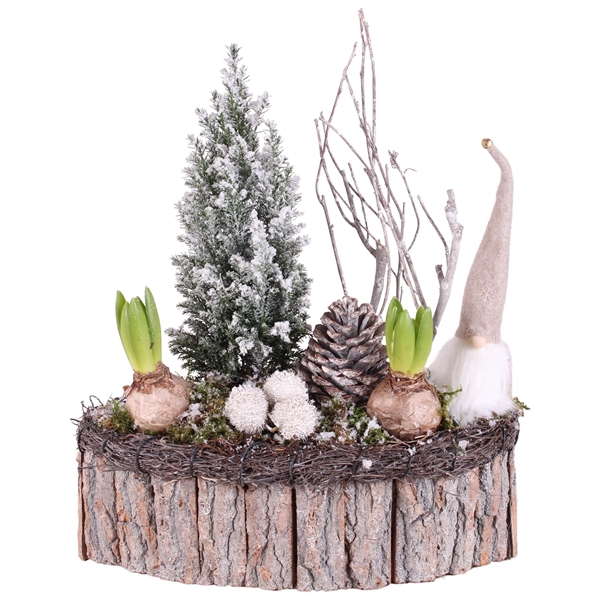 <h4>Christmas Arr.Outdoor Wooden Pot oval bark salim ø33cm 3PP</h4>