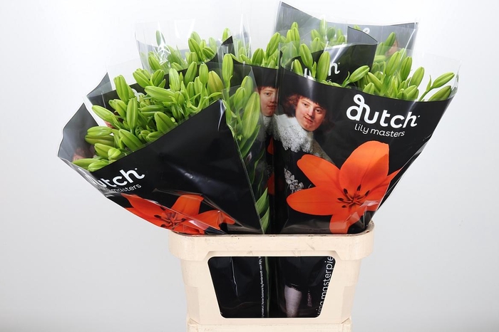 <h4>Li La Sunderland</h4>