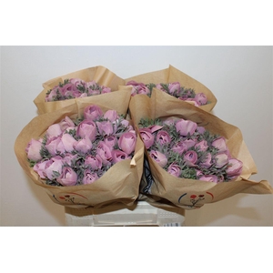 Anem Marianne Powder Wine Red