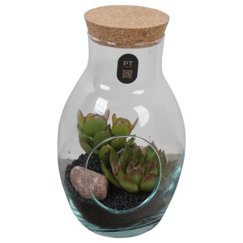 <h4>PTSU8512 Arrangement Succulenten in glazen fles</h4>