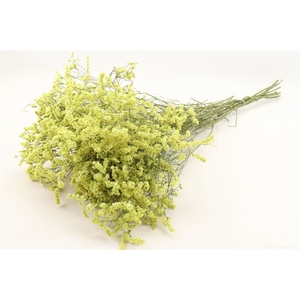 Bunch Limonium Diamond Slv 50g L60