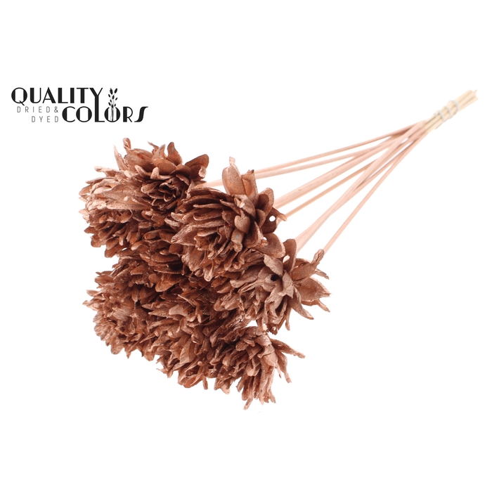 <h4>Shola Slice Pine 6cm on stem Copper</h4>