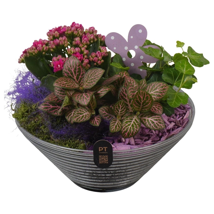 <h4>Arr.    Planten  L%</h4>