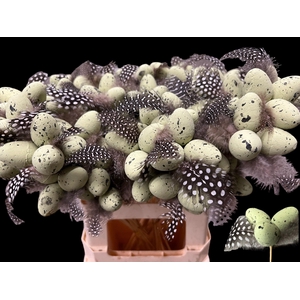 KIEVITSEI OP STOK H%