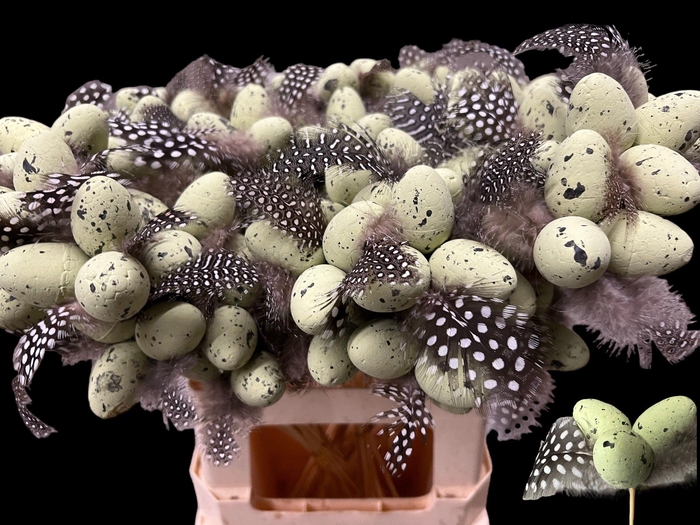 <h4>HUIS EN TUINDECO H%</h4>