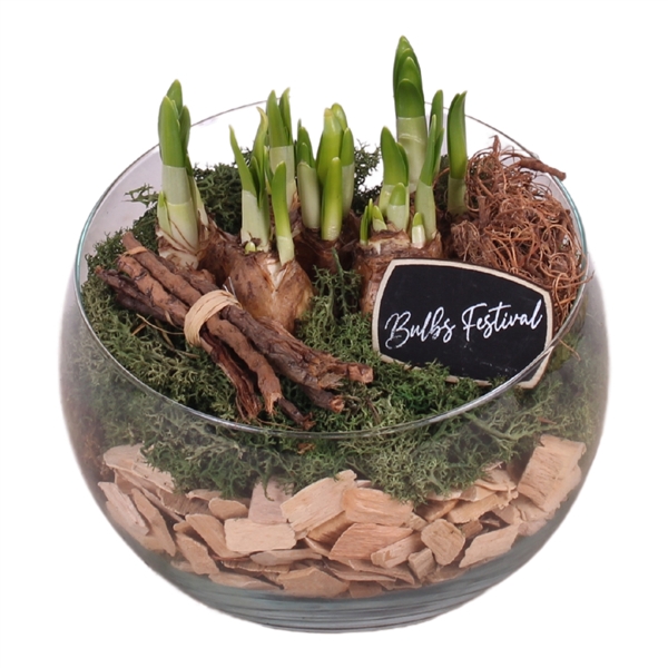 <h4>Bulbs Arr. Narcis Glass Bowl Vase Ø20cm</h4>