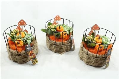 <h4>5443 ORANGE MAND+REK</h4>