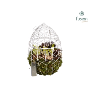 Metaal rek met Narcis Tat