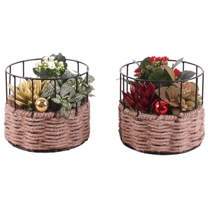 Opm Christmas Arr. Indoor Metal Frame Rope Pot Rou