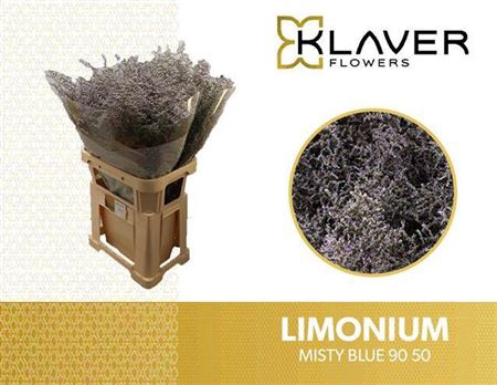 <h4>Lim Misty Blue</h4>