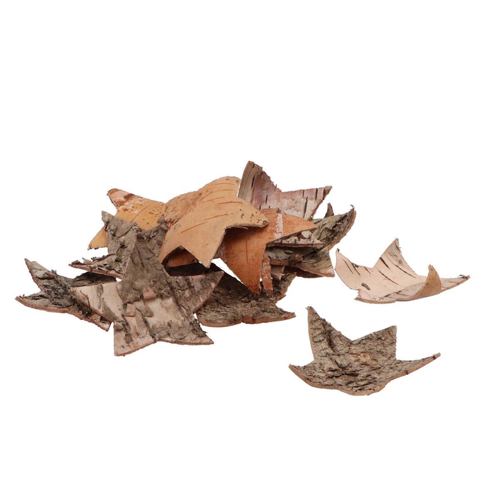 <h4>Nature Star Bark Birch 10cm P/30</h4>