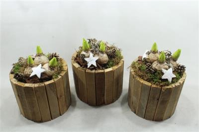 <h4>HY248 SMALL TON HOOG</h4>