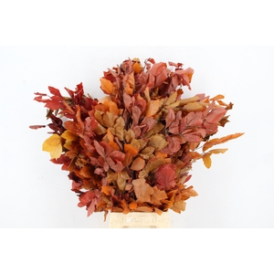 PF BEECH LEAFS AUTUMN BS 150GR