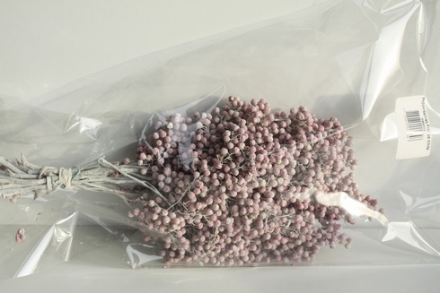 PEPPERBERRIES FROSTED WHITE