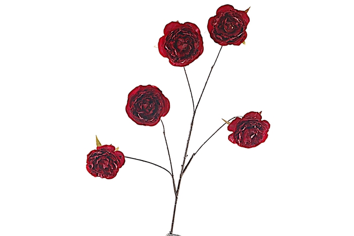 <h4>Cabbage Rosa Spray Burgundy</h4>