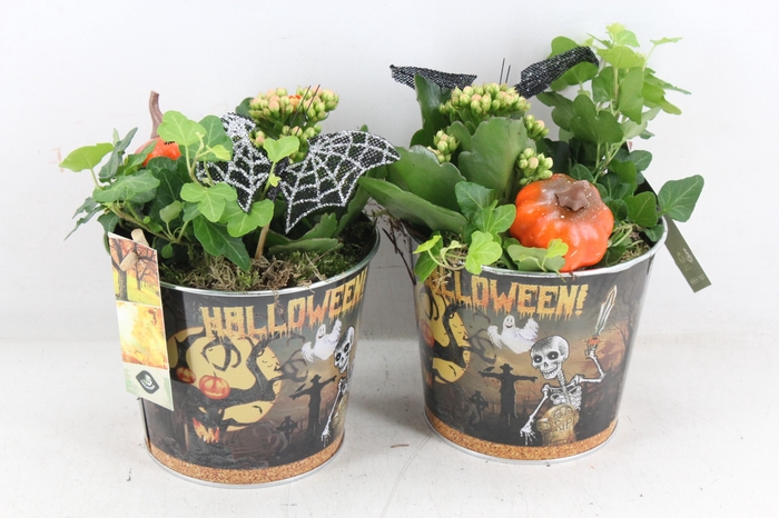 <h4>arr2 JS - Zink pot halloween x6</h4>