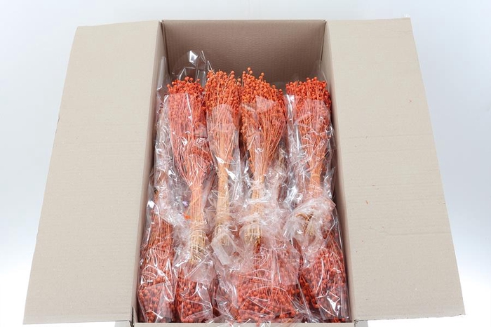 <h4>Lino Orange 100gr</h4>