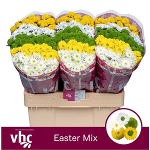 CHR SANTINI OSTER MIX