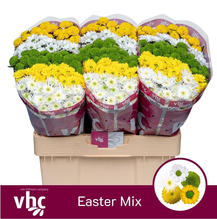 <h4>CHR SANTINI OSTER MIX</h4>