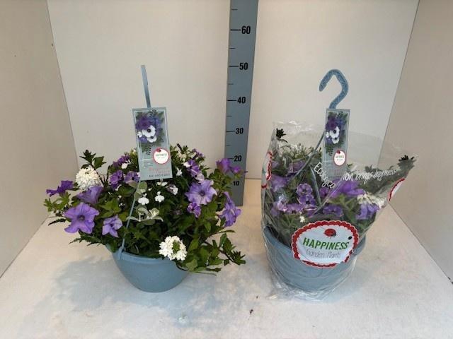 <h4>PERKPL GEM IN POT</h4>