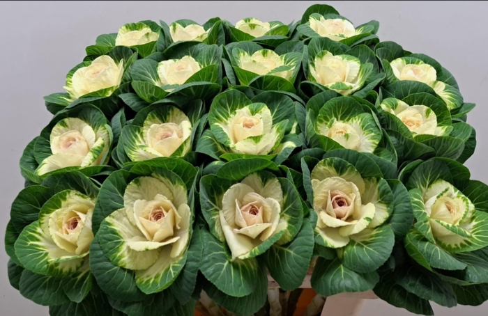 <h4>BRASS WHITE CRANE</h4>