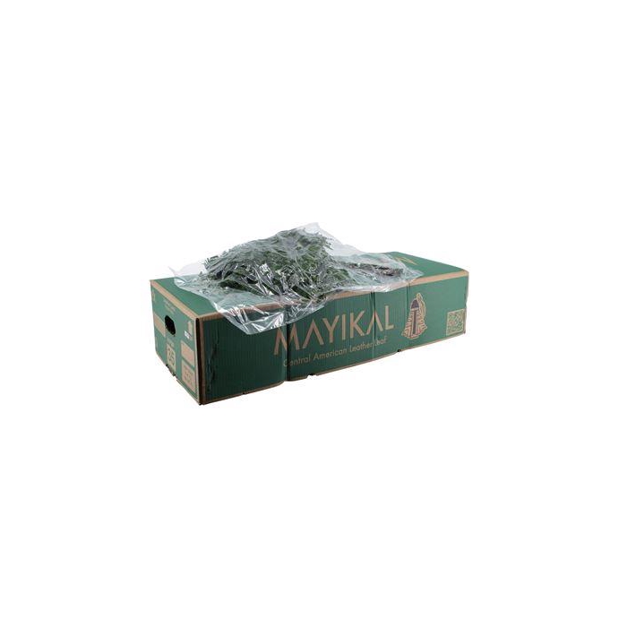 <h4>LEDERVAREN EXTRA VACUUM MAYIKAL</h4>