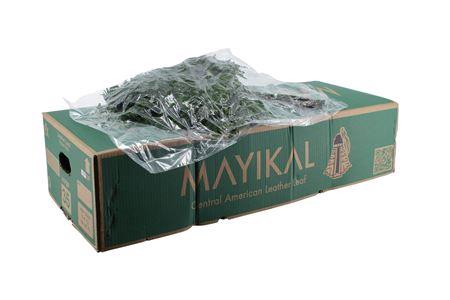 LEDERVAREN EXTRA VACUUM MAYIKAL