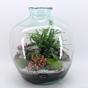 GRCR-2461 Green Essentials Terrarium