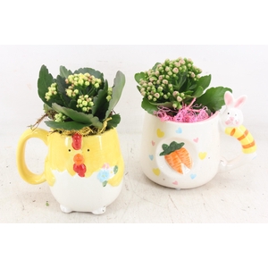 arr2 JS - Keramiek mok kip haas