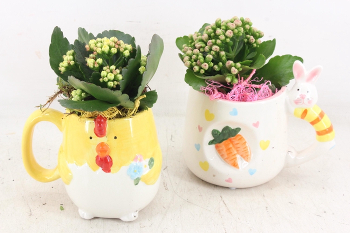 <h4>arr2 JS - Keramiek mok kip haas</h4>