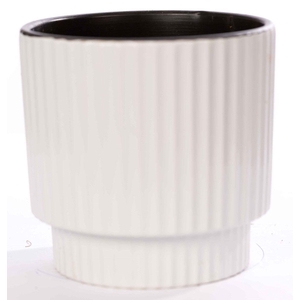 P&PURE Ivy ceramics shiny white