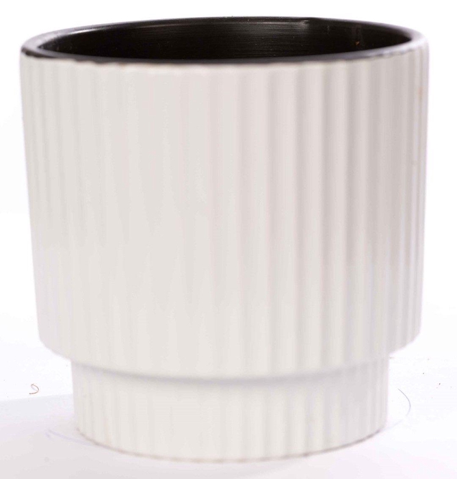 <h4>P&PURE Ivy ceramics shiny white</h4>
